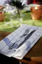 serviettes-towel-napkin-38x54-cm-250pcs-bleues-inuse.webp