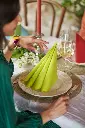 serviettes-airlaid-bio-dunisoft-40x40-cm-360pcs-kiwi-inuse.webp