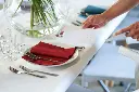 serviettes-airlaid-bio-dunisoft-40x40-cm-360pcs-bordeaux-inuse.webp