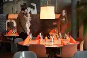 serviettes-airlaid-bio-dunisoft-40x40-cm-360pcs-sun-orange-ambiance.webp