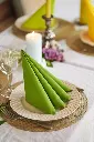 serviettes-airlaid-bio-dunisoft-40x40-cm-360pcs-vert-feuille-folded.webp