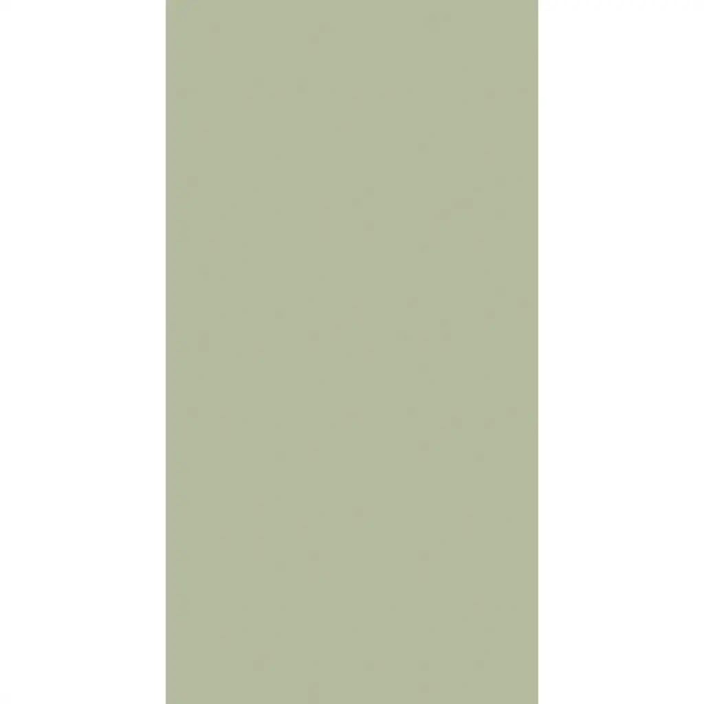serviettes-ouate-40x40-cm-3-plis-pliage-1-8-1250pcs-vert-pistache-top.webp