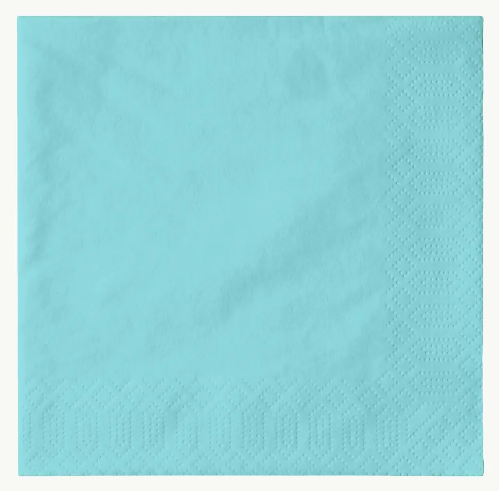 serviettes-ouate-33x33cm-3-plis-1000pcs-bleu-menthe-top.webp