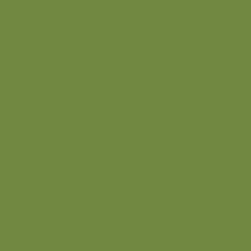 serviettes-ouate-40x40cm-3-plis-1000pcs-vert-feuille-top.webp