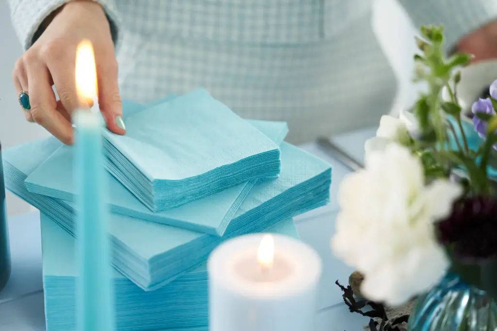 serviettes-ouate-40x40cm-3-plis-1000pcs-bleu-menthe-set.webp