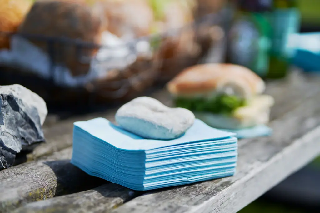 serviettes-ouate-40x40cm-3-plis-1000pcs-bleu-menthe-ambiance.webp