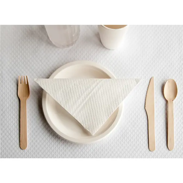 nappe-en-rouleau-aneto-48-gm2-120x100-m-blanc-cellulose-inuse.webp