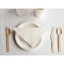 nappe-en-rouleau-aneto-48-gm2-120x100-m-blanc-cellulose-inuse.webp