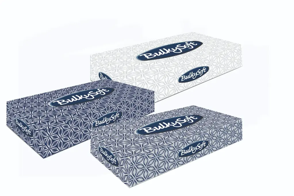 Mouchoir facial BulkySoft Classic 21x21cm 40 boîtes 68100