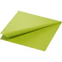 Tissue-Servietten 40x40 cm 2-lagig 1250 Stk. Kiwi