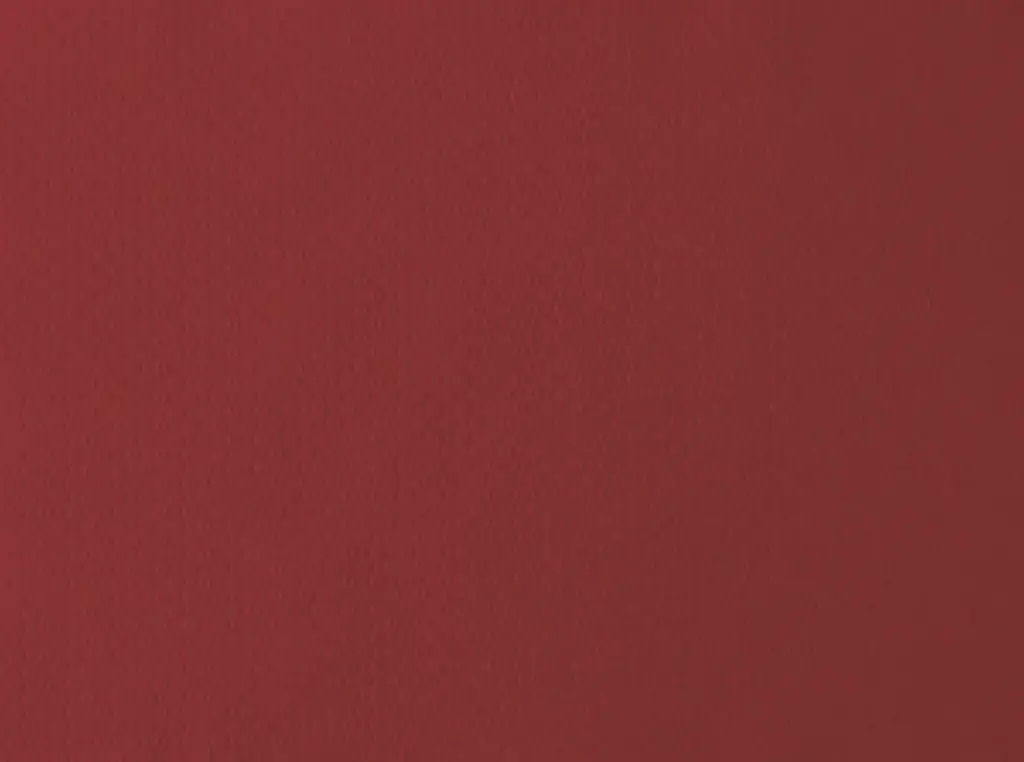 Set de Table Papier Duni 30x40 cm Bordeaux 1000 pcs