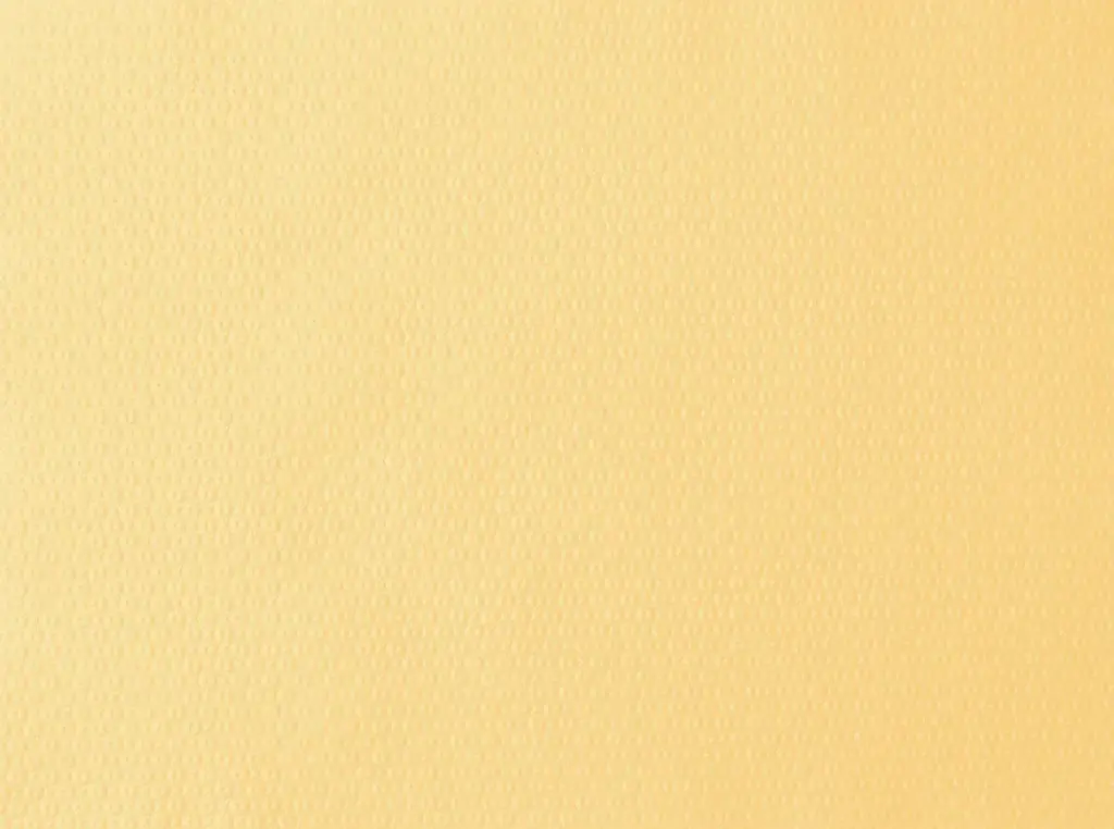 Papieren placemat Crème 30 x 40 cm 1000ST