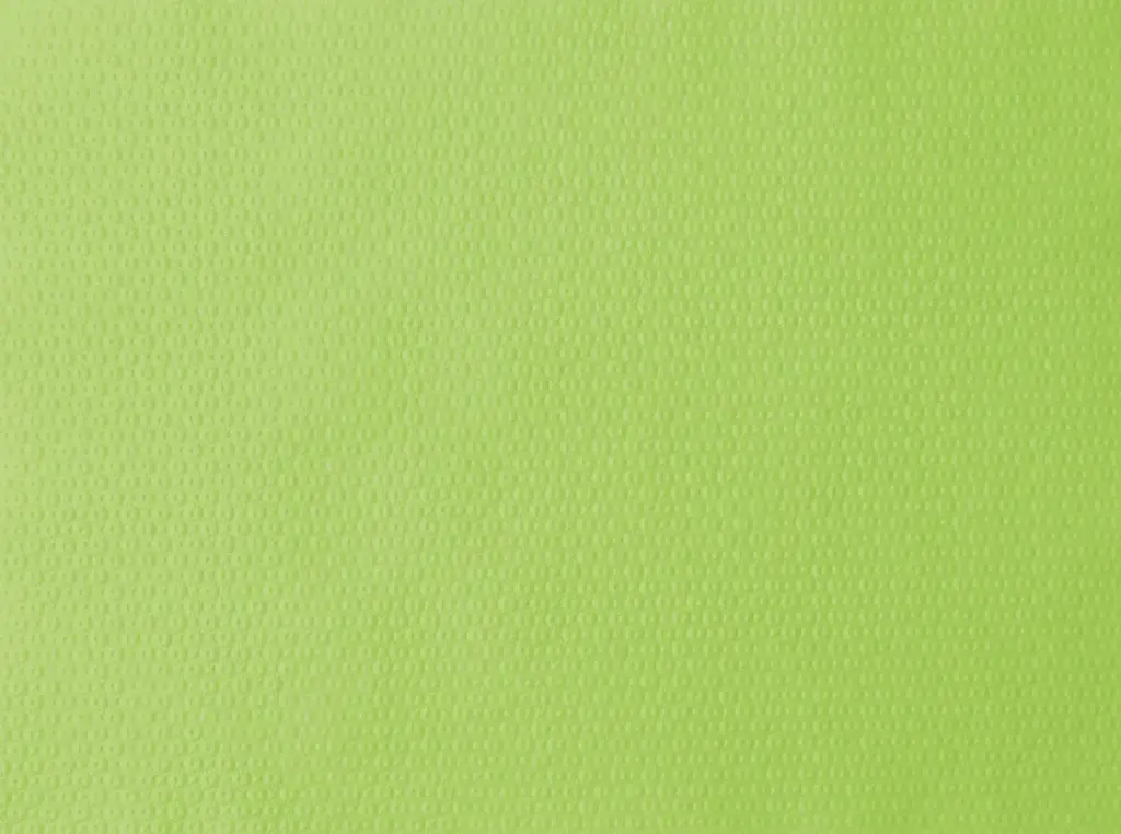 Set de Table Papier Duni 30x40 cm Kiwi 1000 pcs